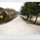 삼기중학교 이미지