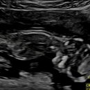 봄빛산부인과의원 이미지