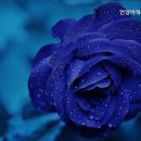 언양아하브요양병원 이미지