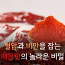 📣혈압과 비만을 잡는 매운맛의 놀라운 비밀⭕️ 이미지