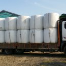 볏집사랑 이미지