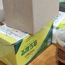 [푸르네오 효도씨앗 잔디씨앗 사용 후기! 골프장 잔디왕]