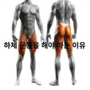 엔엘 휘트니스 | (매탄동PT,엔엘 휘트니스)하체 운동 해야하는 이유 , 중요성 !