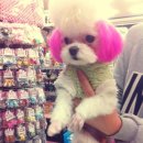 폴리파크지산점 이미지