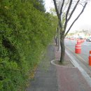 한내초교 이미지