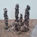 조록나무 뿌리 형상물 | 사브작 사브작 제주 여행..2,,제주 돌 문화 공원, ( 10월 15일,)