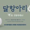 다이소서 이미지