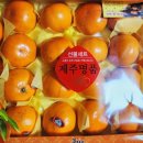 쇠소깍휴게소농수산직판장