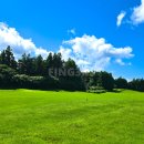 윤이나개 | 제주 사이프러스CC 신년골프추천 전체 양잔디 골프장 시설 좋은 골프텔 2박3일 여행