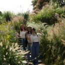 안다미로 스테이 이미지