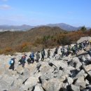 달마고도 이미지