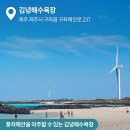 푸른바당