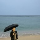 감나무집민박 이미지