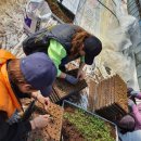 판수농장 이미지