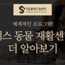 에스동물병원 이미지