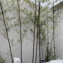 108한옥