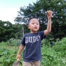 진현농장 이미지