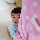 The꿈나무어린이집 | 생후304일~307일) 이앓이. 아빠랑문센. 혼자서기 삼매경