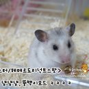 냠냠냠 이미지