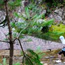 구마일주통나무산장 이미지