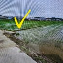 석정초교 이미지