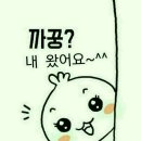 딸과 추억만들기여행 이미지