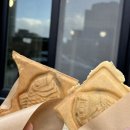 속초붕어당 | 속초 붕어당 내돈내산 물회 후식으로 붕어빵 해수욕장 디저트