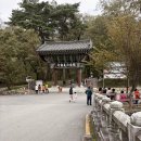 표충사 | 🏞 우리 네가족의 힐링 여행, 밀양 표충사 나들이 후기 🌿