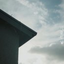 표선달채