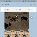 발앤발 네이버블로그