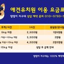 댕댕이 지구대 네이버블로그