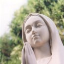 영창축사 이미지