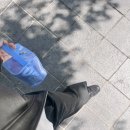 개네엄마 | 시험관 신선 배아 이식 1차 성공 / 임신 초기-중기 일상