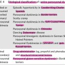 International veterinary canine dyskinesia task force ECVN consensus 이미지