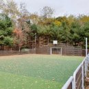 고덕체육공원 농구장 이미지