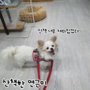 미소 이미지