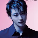 데일리 그루밍 이미지