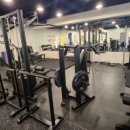 고 베어 짐 이미지