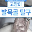 속초삼성동물병원 이미지