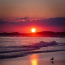 88번길 안경원 이미지