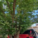 삼화1리 마을회관 이미지