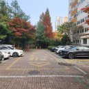 카페인중독화성 네이버블로그