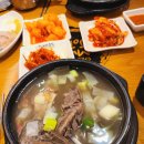 [명동족발보쌈맛집] 미쓰족발 서울명동점 을지로 맛집
