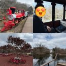 호텔 라벤더 제주 | 에코랜드 테마파크 제주숲 제주여행코스추천