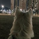 믿음반찬 이미지