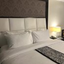 퀘스트짐 | 세부시티 퀘스트호텔 접근성 디럭스룸 수영장 짐보관 후기