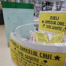 월드약국 이미지