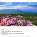 백두대간 지리산 만복대구간
