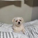 우지커피 인천삼산점 이미지