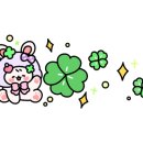 아피아피 apyapy 이미지